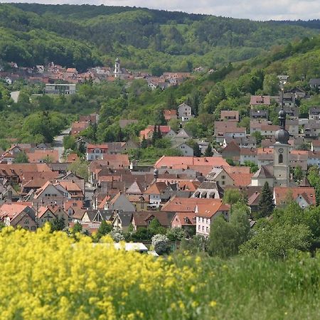Ferienwohnung Haas Lauda-Königshofen Zewnętrze zdjęcie